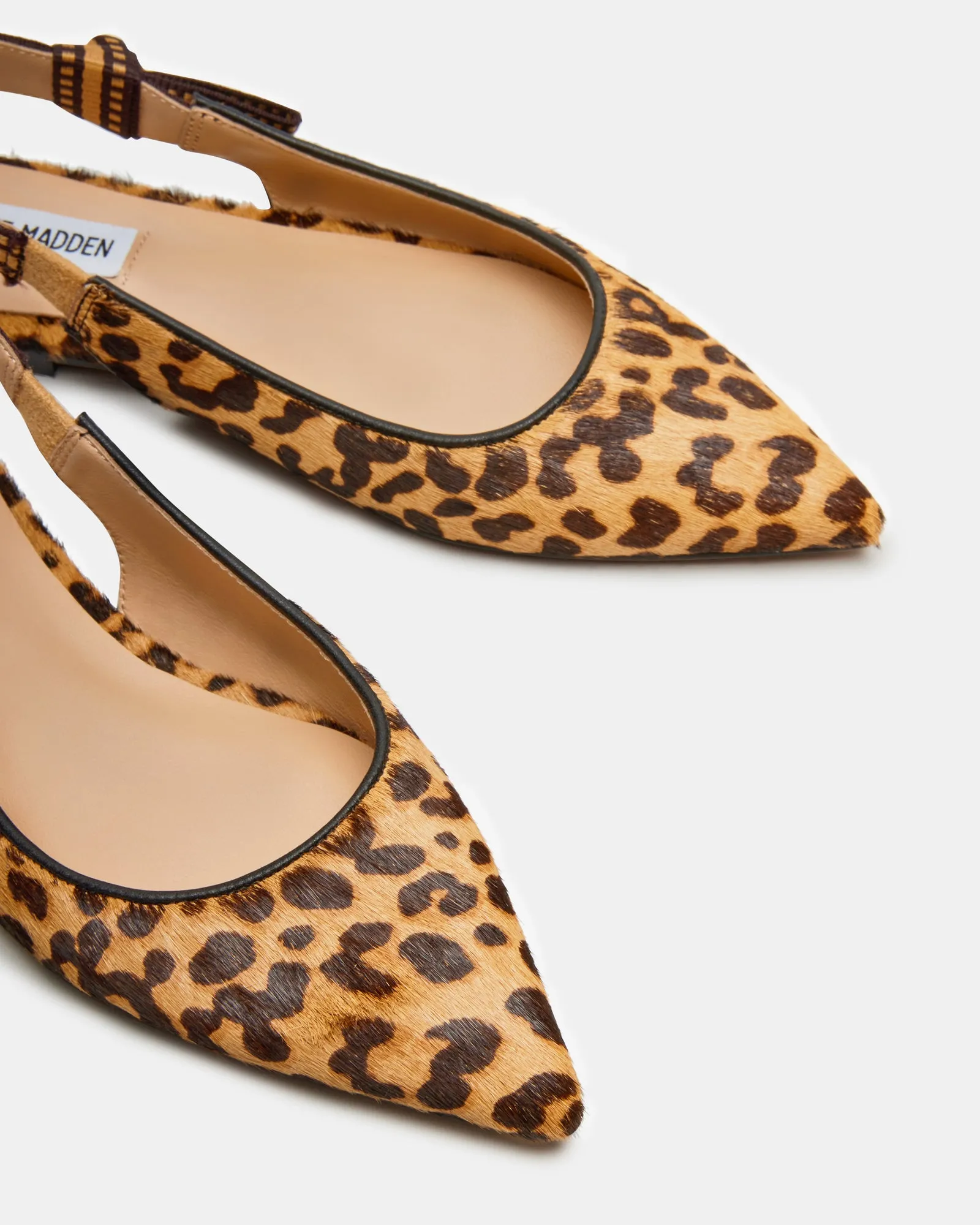 OLSEN-A LEOPARD