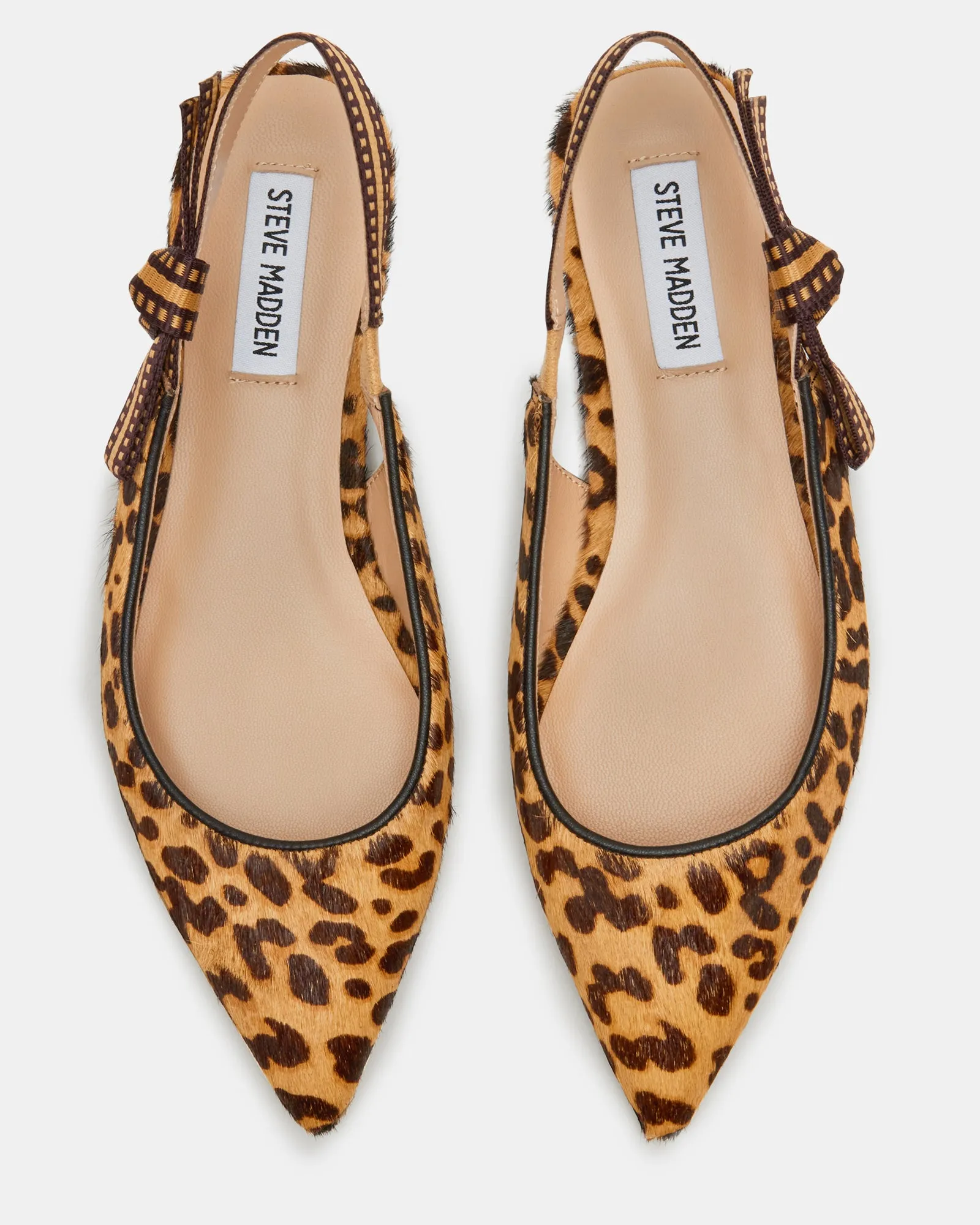 OLSEN-A LEOPARD